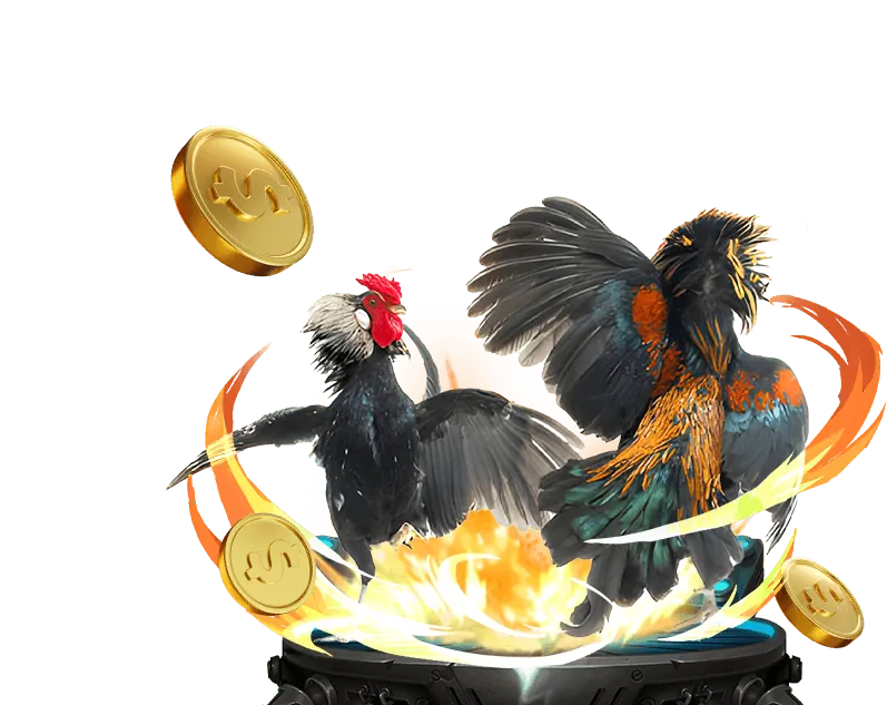 Đá gà trực tuyến Twin